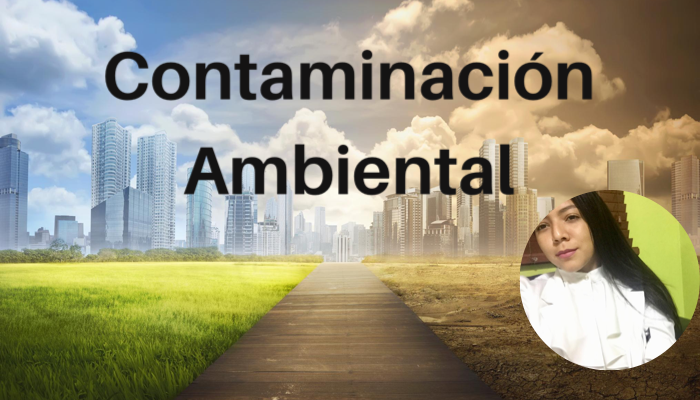 Contaminación ambiental 