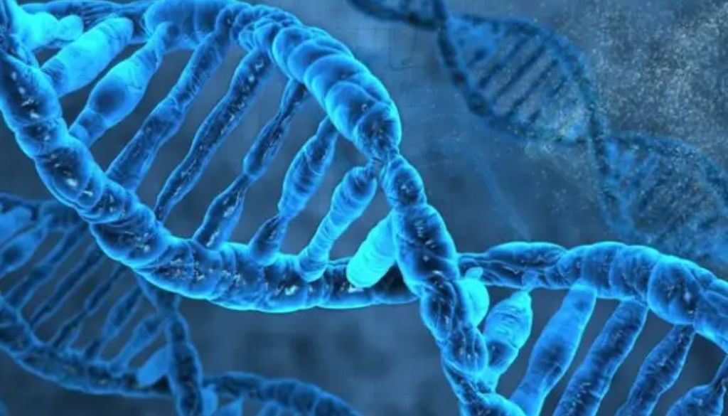 Descubren genes «saltarines» que podrían mejorar enfermedades 