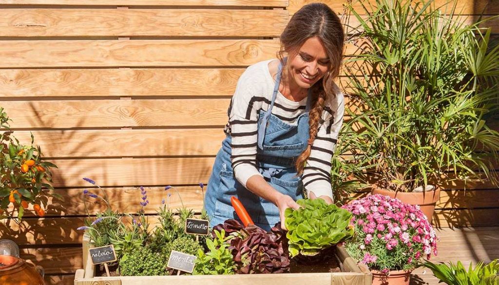 Investigadores aseguran jardinería es buena para la salud 