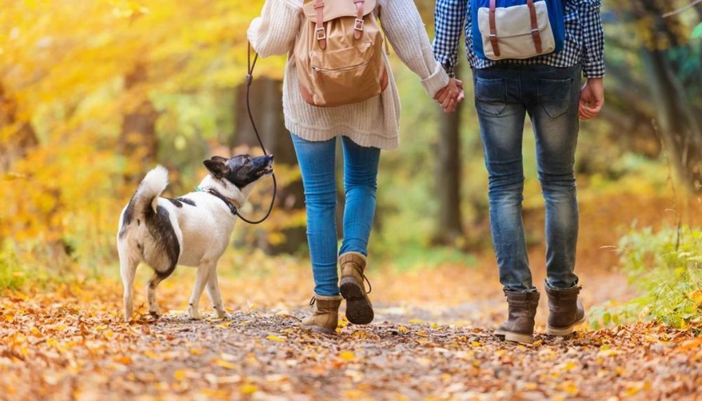 Estudio sostiene que pasear lo cura casi todo 