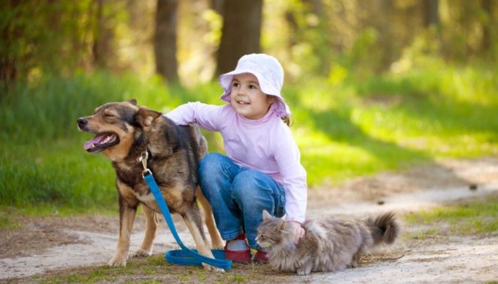 Estudio revela hogares con mascotas con menor riesgo de alergias alimentarias 