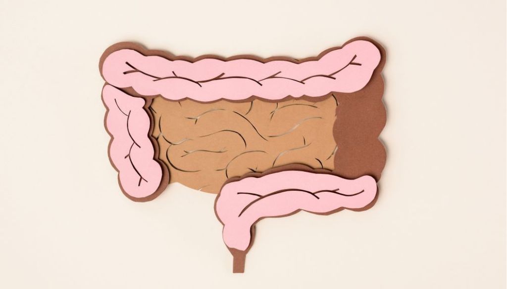 Investigadores descubren presencia de amiloides en la microbiota intestinal asociados al Parkinson 